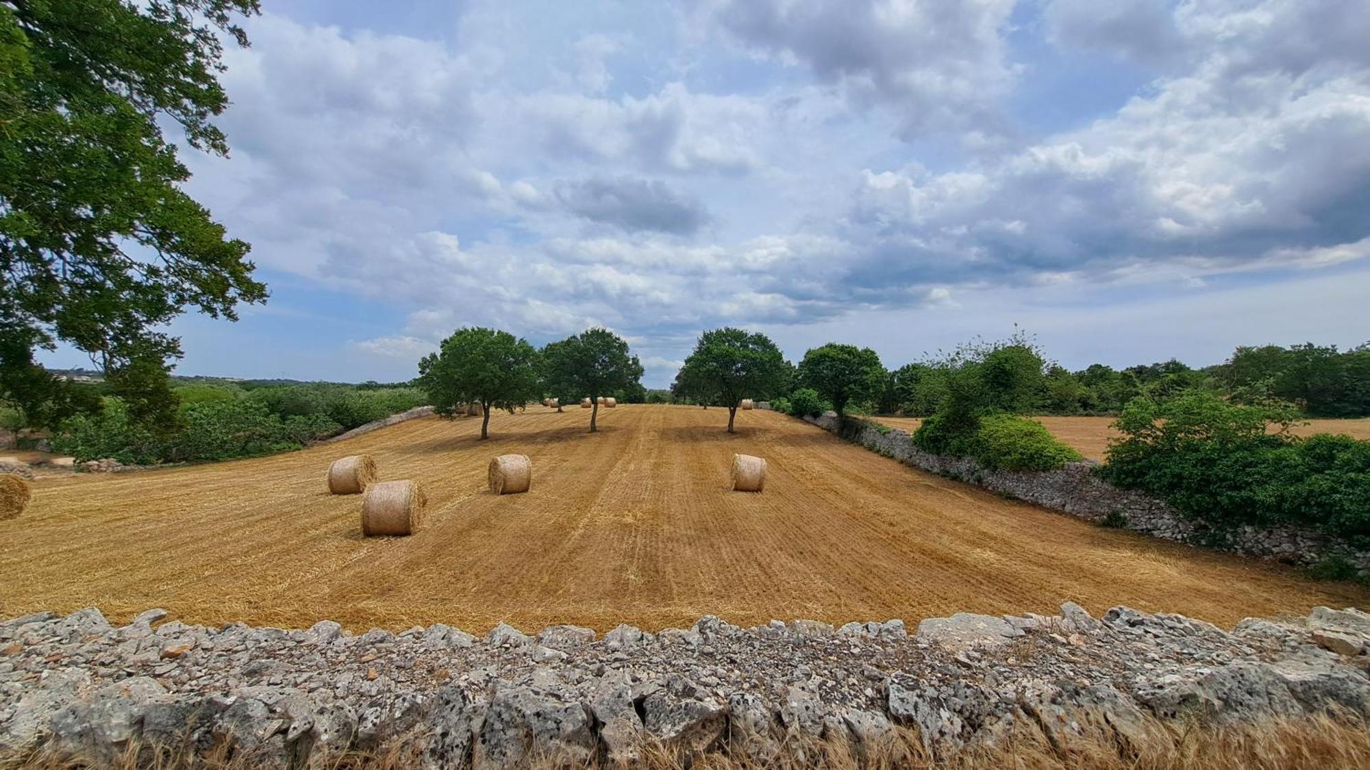 Casolare Di Puglia Βίλα Νότσι Εξωτερικό φωτογραφία