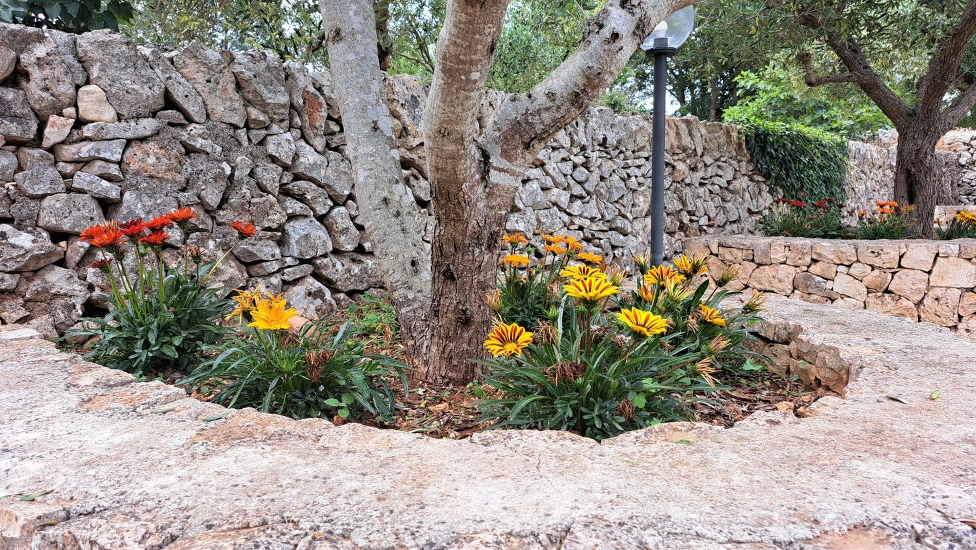 Casolare Di Puglia Βίλα Νότσι Εξωτερικό φωτογραφία